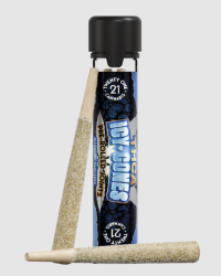 Blueberry Pancakes  (Sativa) – 21 ICY CONES – (2ct/1g Ea)